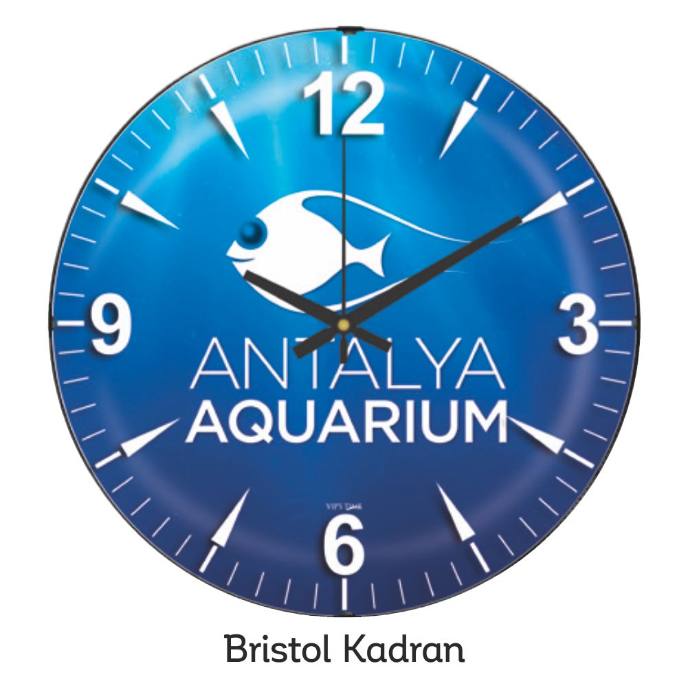 Promosyon 35 Cm Bristol Kadran Duvar Saati CL01004
