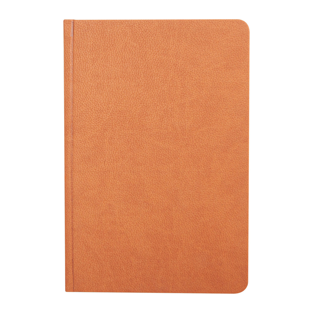 Promosyon Termo Deri Kapak Tarihli Ajanda (17X24 CM) AJ01040 · AJ01040-09