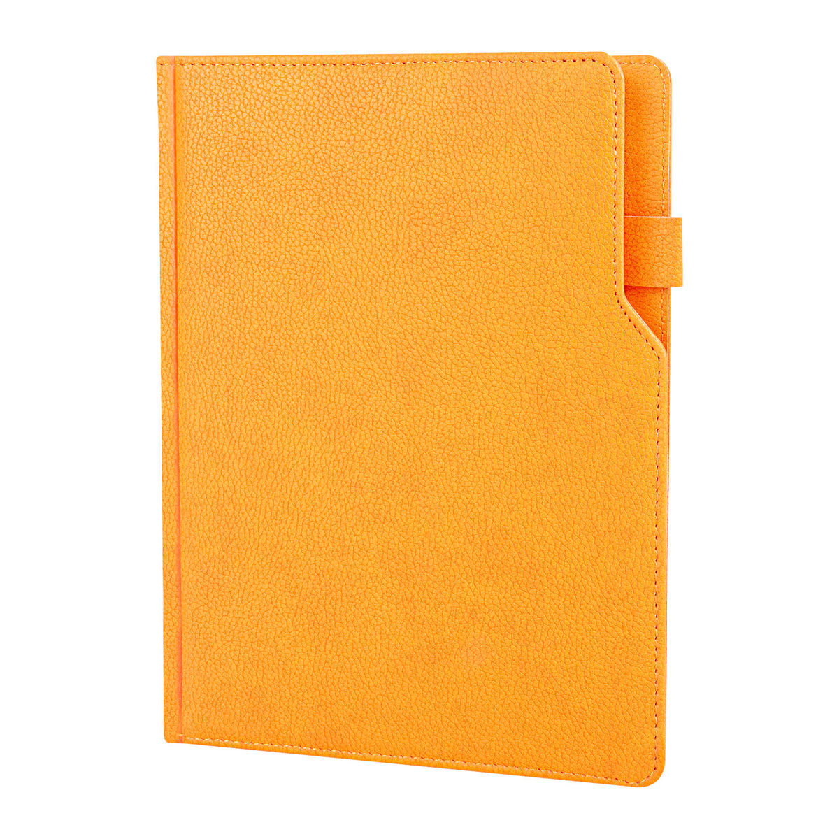 Promosyon Termo Deri Kapak Tarihli Ajanda (17X24 CM) AJ01041 · AJ01041-13