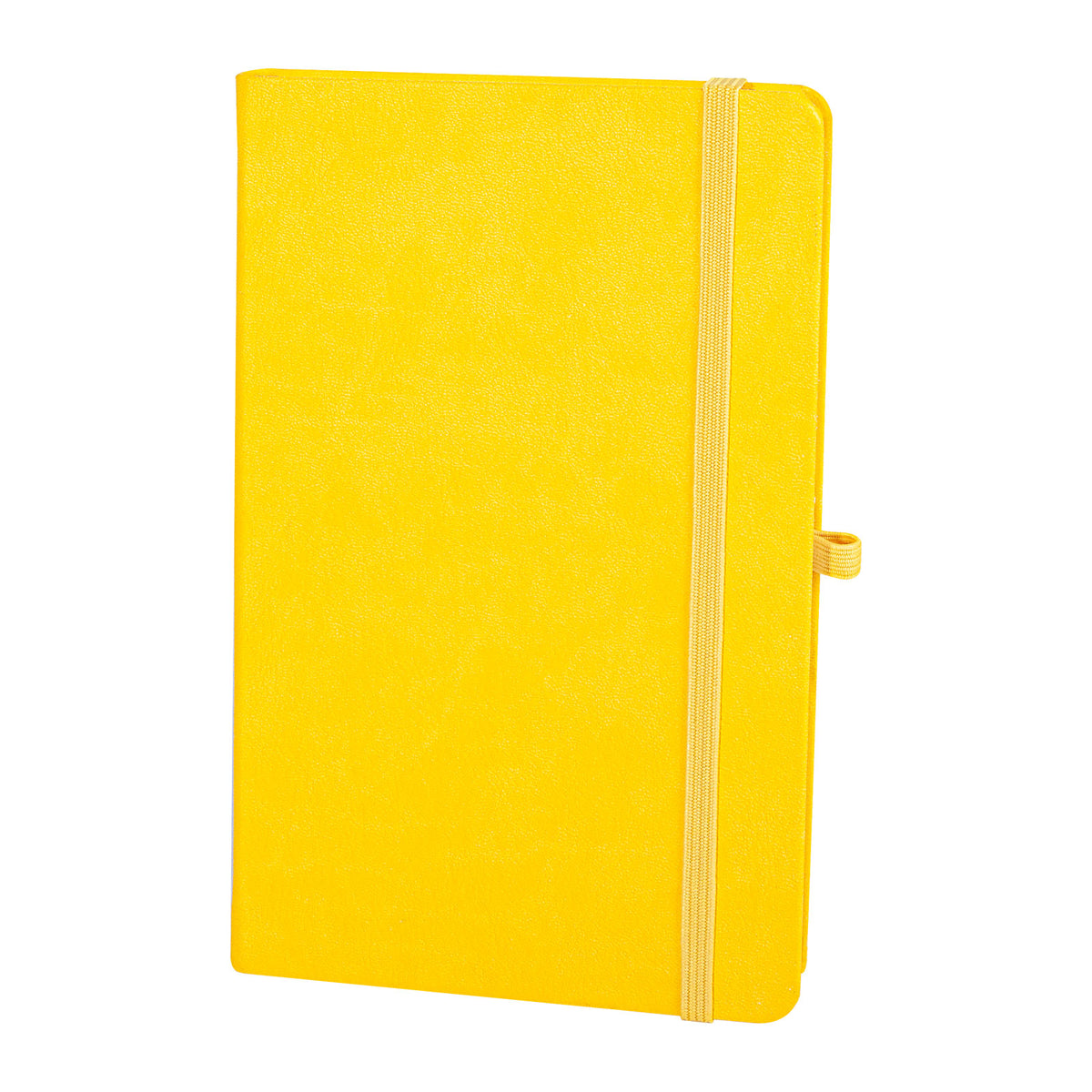 Promosyon Sert Kapak (13x21cm) Tarihsiz Defter DF01004 · DF01004-15